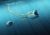 Fossil discovery: Extraordinary ‘big-mouthed’ fish from Cretaceous Period