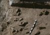Fossil record disappears at different rates