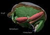 Fossils turn out to be a rich source of information