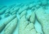 Modern microbial ecosystems provide window to early life on Earth