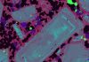 New technique to find copper deposits