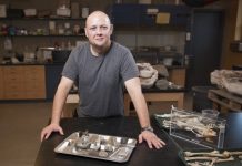 Paleontologists discover evidence of new types of dinosaurs in Idaho including Tyrannosaur ancestors