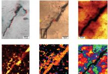 Portion of ancient Australian chert microstructures definitively pseudo-fossils