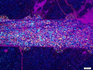 Research may explain mysterious-GeologyPage