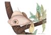 Scientists Discover Butterfly-like Fossil Insect in the Deep Mesozoic