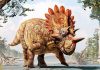 Scientists discover major Jurassic fossil site in Argentina