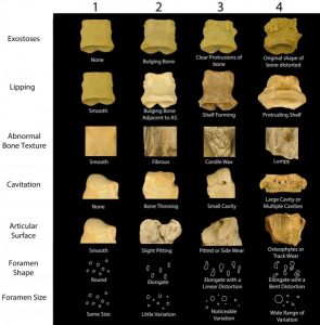 Significant changes in rhino-GeologyPage