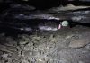 Some 5,000 years ago, silver mining on the shores of the Aegean Sea