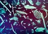 Some tiny plankton may have big effect on ocean’s carbon storage