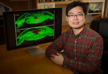 Study challenges widely accepted theory of Yellowstone formation