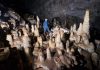 The Nullarbor Plain’s ancient forests revealed