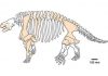 The ‘ugliest fossil reptiles’ who roamed China