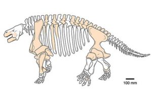 The 'ugliest fossil reptiles-GeologyPage