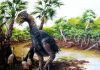 Study confirms giant flightless bird wandered the Arctic 50 million years ago