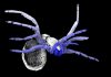 305 million-year-old ‘early spider’ fossil discovered