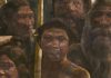 400,000-year-old fossils from Spain provide earliest genetic evidence of Neandertals