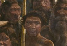 400,000-year-old fossils from Spain provide earliest genetic evidence of Neandertals