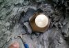 Anthropocene examined