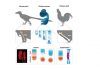 Dinosaur-like lower leg created on bird through molecular experiment
