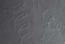 Discovery of ancient undersea spirals may improve understanding of climate change