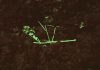 Discovery of extinct bat doubles diversity of native Hawaiian land mammals