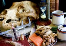 Dissecting the animal diet, past and present