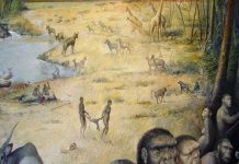 Early human habitat, recreated for first time, shows life was no picnic
