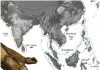 Land bridges linking ancient India, Eurasia were ‘freeways’ for biodiversity exchange