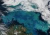 Major source of methanol in the ocean identified