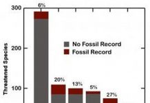 Many species now going extinct may vanish without a fossil trace