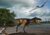Newly discovered dinosaur reveals how T. rex became king of the Cretaceous