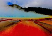 Photosynthesis more ancient than thought, and most living things could do it