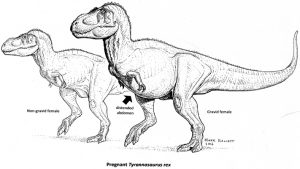 Pregnant T. rex could-GeologyPage