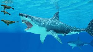 Seals race to get away from a giant Megalodon shark coming after them.