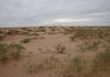 Sand dunes are important desert dust sources
