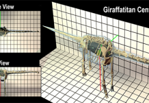Scientists explain evolution of some of the largest dinosaurs
