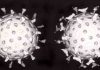 Scientists uncover history of ancient viruses as far back as 30 million years ago