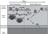 Tiny fossils tell a long(ish) story