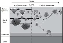 Tiny fossils tell a long(ish) story