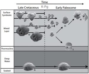 Tiny fossils tell a long-GeologyPage