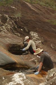 Uncovering bacterial-GeologyPage