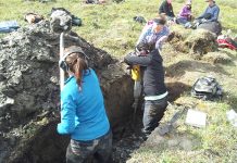 Studies how Arctic soils are affected by precipitation, mainly snow