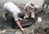 13-million-year-old ‘storyteller’ crocodylian fossils show evidence for parallel evolution