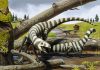 240-million-year-old fossils indicate how dinosaurs grew from hatchlings to adults
