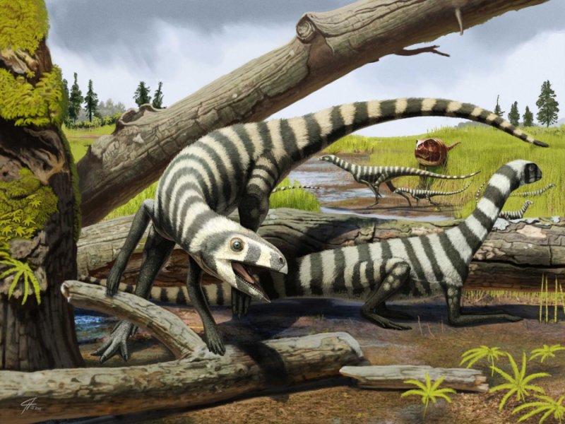 240-million-year-old fossils indicate how dinosaurs grew from hatchlings to  adults | Geology Page
