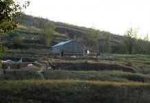 Bringing the landslide laboratory to remote regions