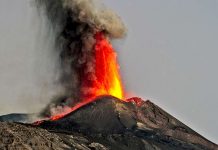 Dinosaur die-off not a result of volcanoes, new study says