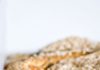 Do bearded dragons dream? Reptiles share sleep patterns with mammals and birds