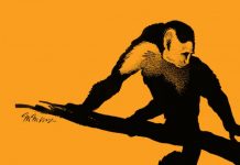 First North American monkey fossils are found: New species named Panamacebus transitus
