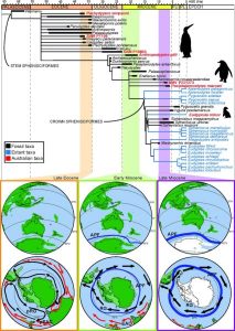 Fossils may reveal 20-million-GeologyPage